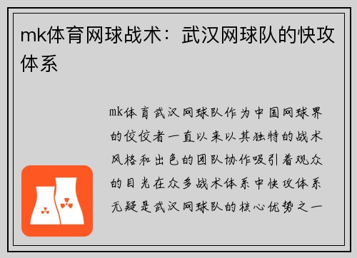 mk体育网球战术：武汉网球队的快攻体系